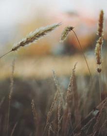 科幻大片 51漫画